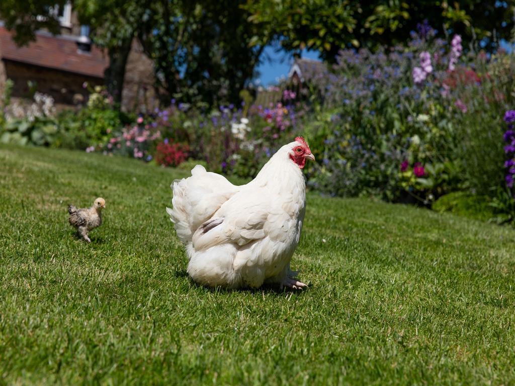 The Graig Bed & Breakfast Ludlow Farden Eksteriør bilde