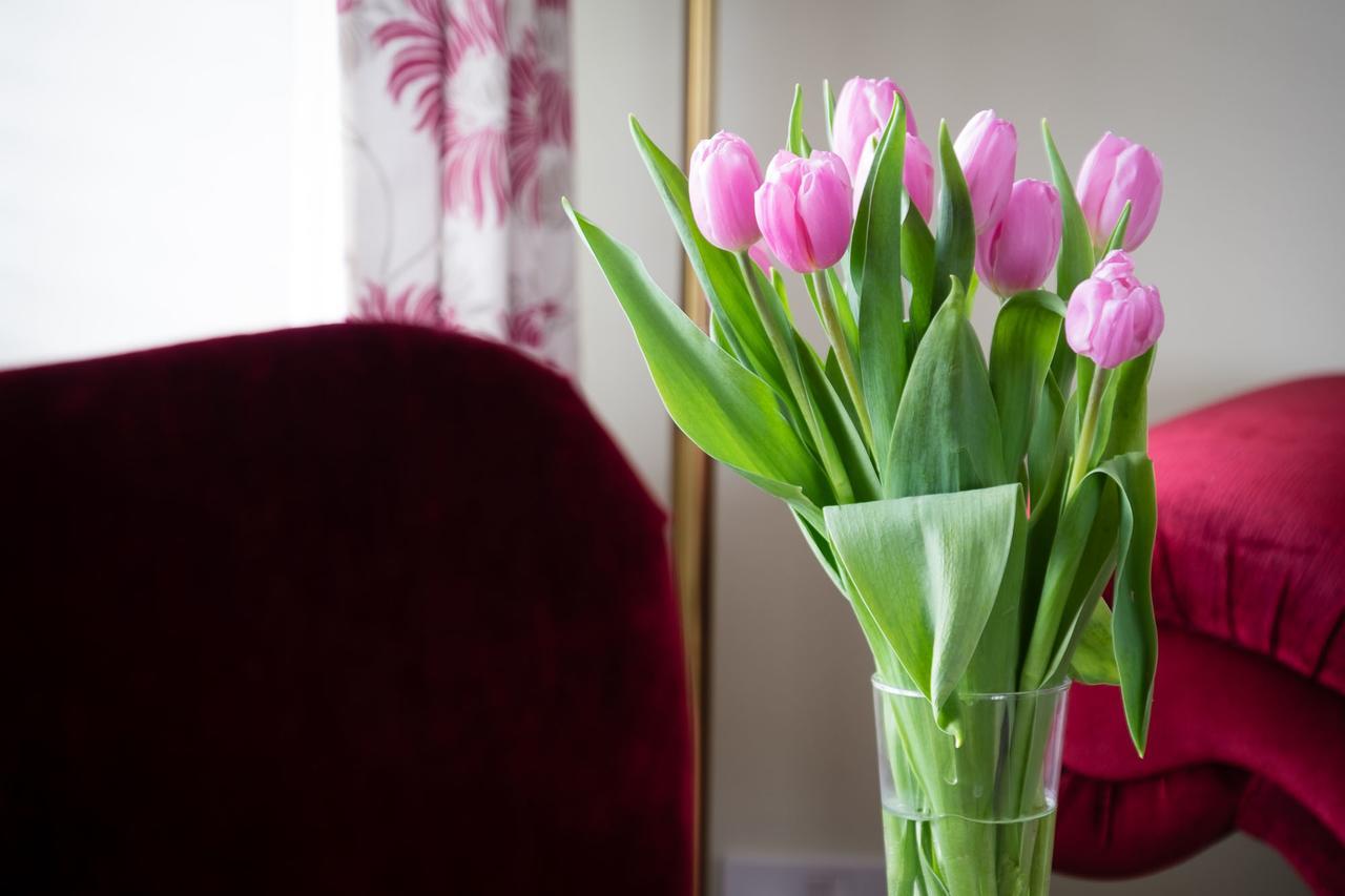 The Graig Bed & Breakfast Ludlow Farden Eksteriør bilde